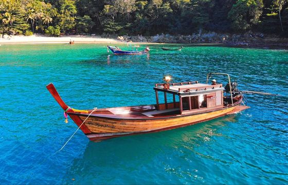 Custom Built 40 Blue Voyage Oriental