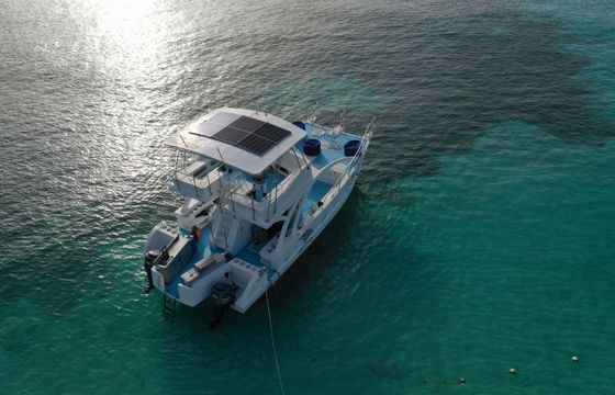 Custom Built 39 La Dichosa