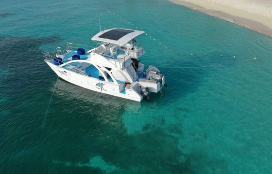 Custom Built 39 La Dichosa