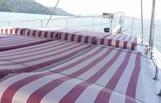 Custom Built 56 Melis