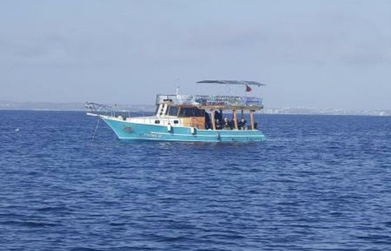 Custom Built 43 Firtina 19