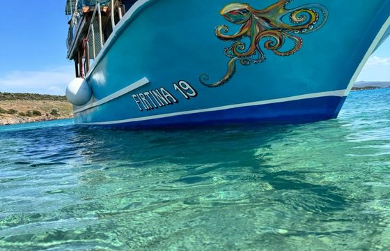 Custom Built 43 Firtina 19