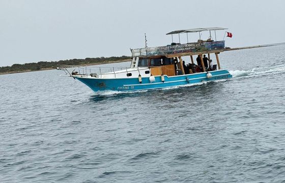 Custom Built 43 Firtina 19