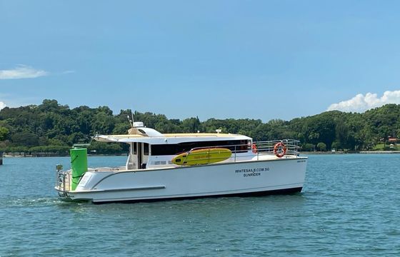 Custom Built 39 SunRider