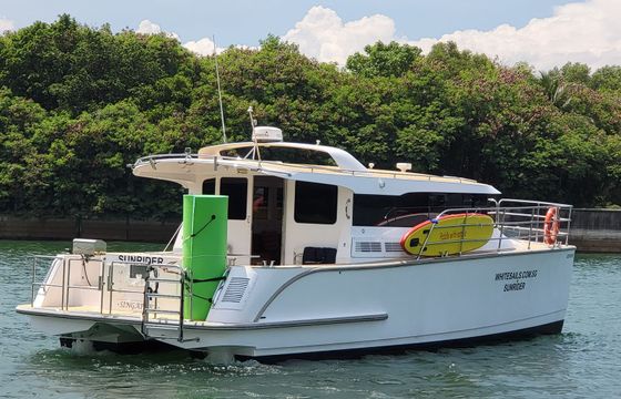 Custom Built 39 SunRider