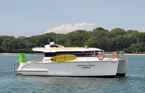 Custom Built 39 SunRider