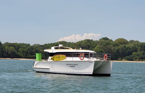 Custom Built 39 SunRider