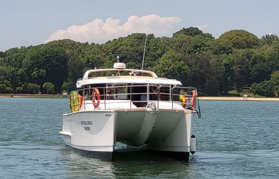 Custom Built 39 SunRider
