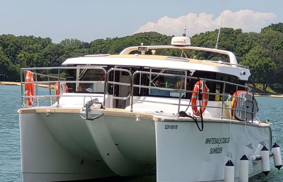 Custom Built 39 SunRider