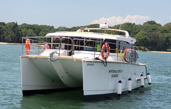 Custom Built 39 SunRider