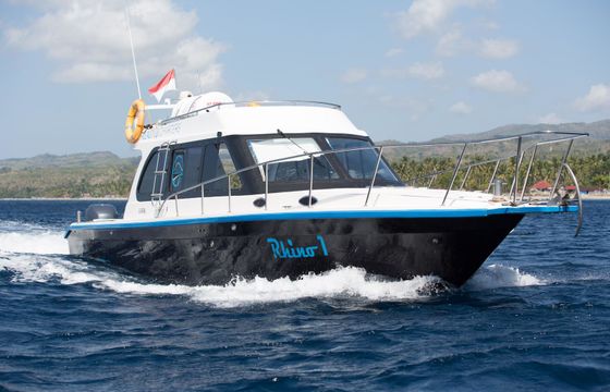 Custom Built 42 Rhino 1