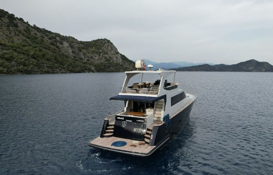 Custom Built 68 Akali
