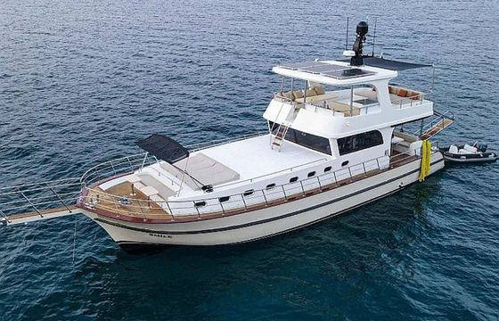 Custom Built 61 Dalibay 2