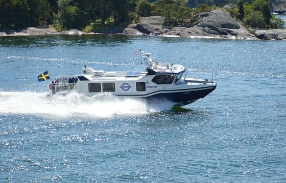 Custom Built 45 Mentor