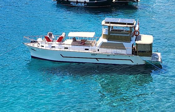 Custom Built 56 Grida