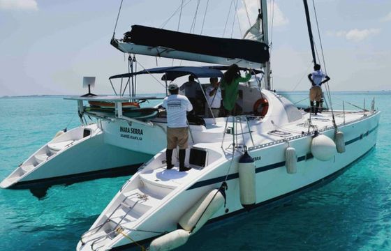 Custom Built 42 Inara Serra