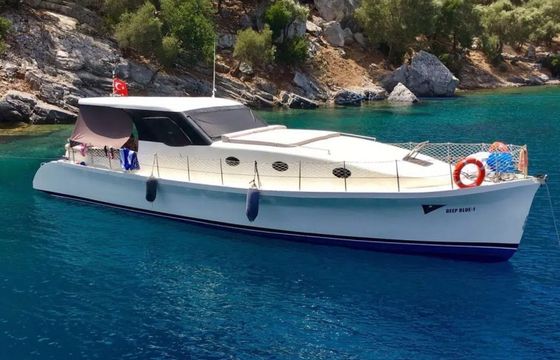 Custom Built 46 Deep Blue 1