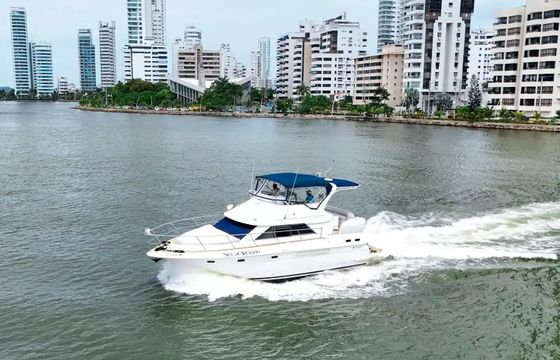 Custom Built 42 Sol De Verano