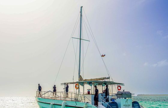 Custom Built 60 Infinity Ocean