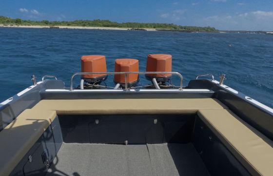 Custom Built 44 Debil Luxury