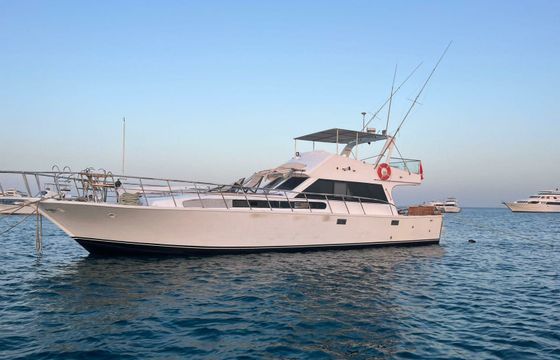 Custom Built 65 Mini Edan Storm