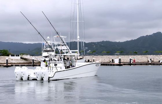 Custom Built 47 Next Level