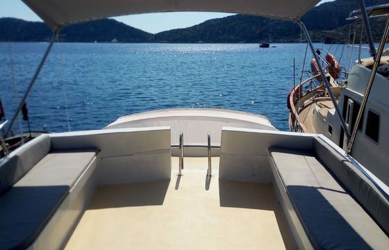 Custom Built 45 Passionis
