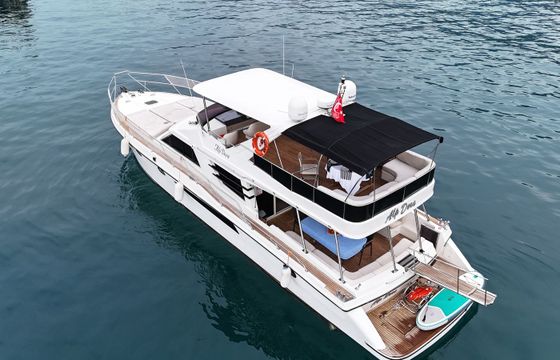 Custom Built 62 Alp Dora