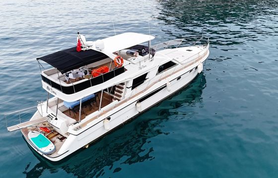 Custom Built 62 Alp Dora