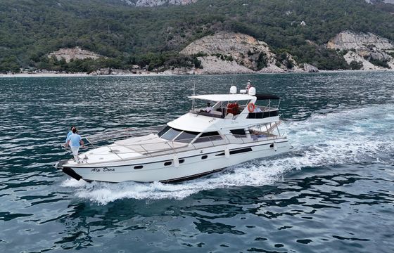 Custom Built 62 Alp Dora