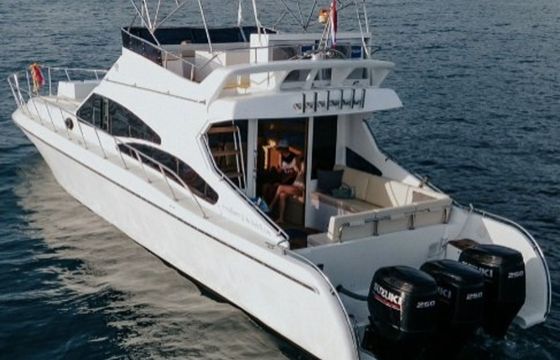 Custom Built 49 Arrow