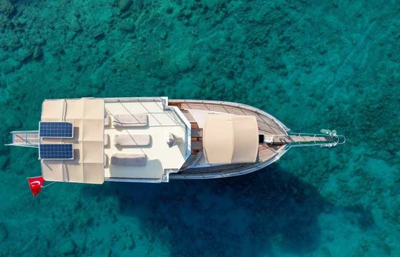 Custom Built 46 Coskun