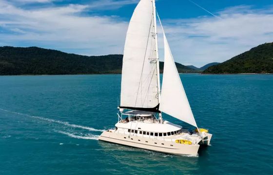 Custom Built 65 Havanna