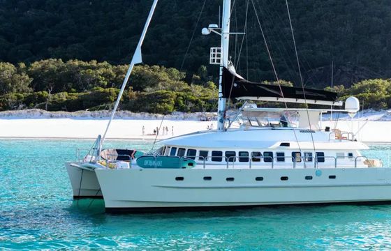 Custom Built 65 Havanna