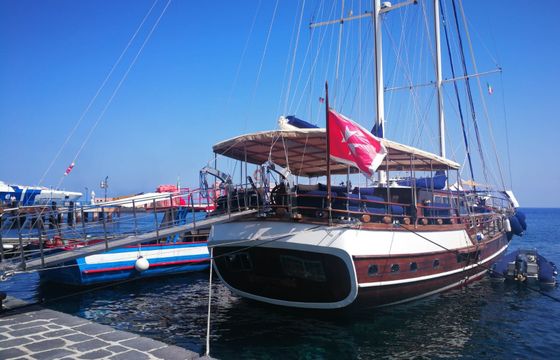 Custom Built 85 Gelidonya 2