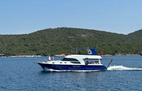 Custom Built 52 Alesta