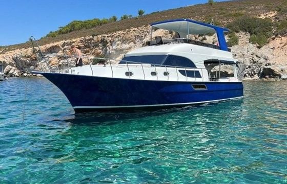 Custom Built 52 Alesta