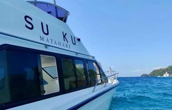Custom Built 49 Suku