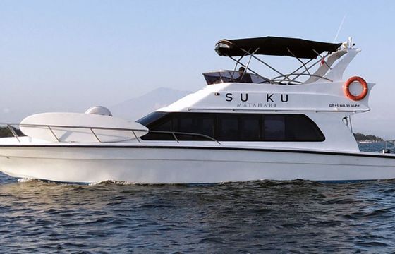 Custom Built 49 Suku