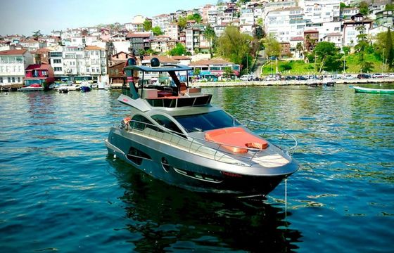 Custom Built 49 Therapia
