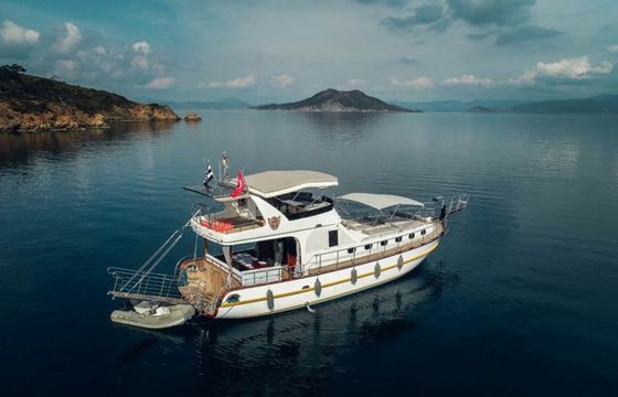 Custom Built 54 Eysan C
