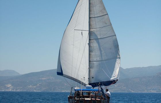 Custom Built 52 Sara