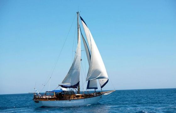 Custom Built 52 Sara