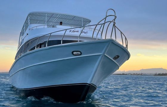 Custom Built 68 Edan Storm