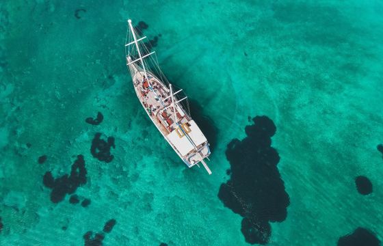 Custom Built 78 Calypso A
