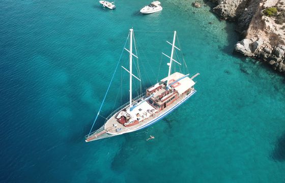 Custom Built 78 Calypso A