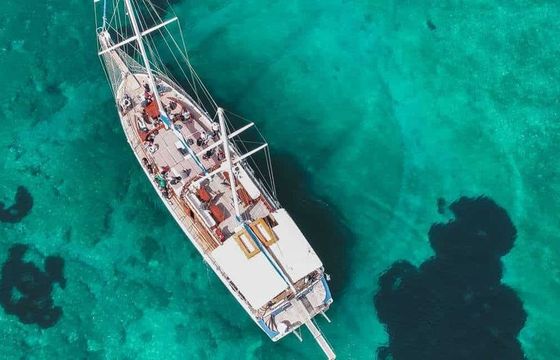 Custom Built 78 Calypso A