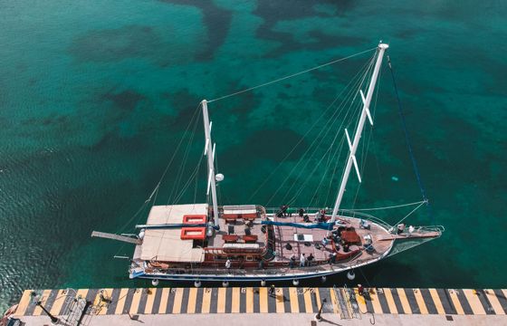 Custom Built 78 Calypso A