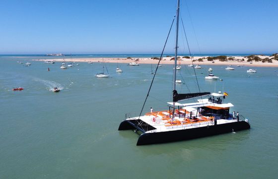 Custom Built 80 Pura Vida