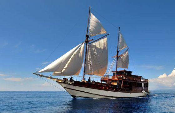 Custom Built Phinisi Ambasi